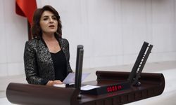 Mersin Milletvekili Kış'tan  iktidara enflasyon çıkışı!