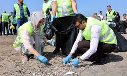 Caretta Carettaların Yuvalandığı Kazanlı Sahili Temizlendi