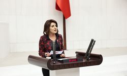 CHP’li Gülcan kış, mersin milletvekillerini göreve çağırdı