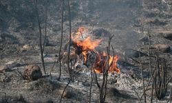 Aksu'da Orman Yangını Kontrol Altına Alındı