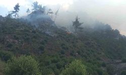 Adana Feke’de Orman Yangını