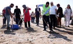 Yüzlerce poşet çöp ve atık toplanıp sahilden uzaklaştırıldı