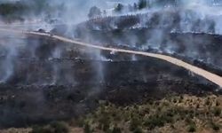 Antalya Aksu'da Orman Yangını Çıktı