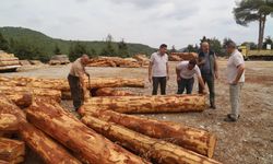 Bölge Müdürü Ataş, Tarsus’ta ormancılık faaliyetlerini inceledi