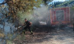 Yayladağı’nda örtü yangını