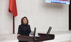 Gülcan Kış’tan Tarım Politikalarına Eleştiri