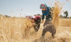 Binlerce Kadın Toprağı Bereketlendirdi