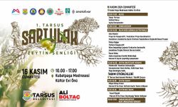 Tarsus’ta Zeytin Coşkusu Başlıyor