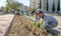 Güneş’e yemyeşil bir yaşam bahçesi geliyor