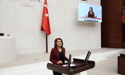 Gülcan Kış: "Enerji Halkındır, Şirketlerin Değil!"