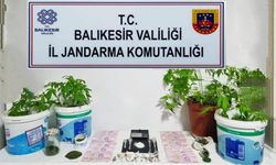 Jandarma’dan 6 ilçede uyuşturucu operasyonu