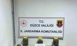 Jandarmadan uyuşturucuya geçit yok