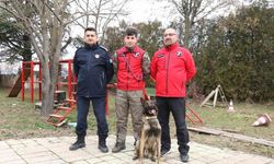 K-9 arama kurtarma köpeği ’Adam’, Türkiye’nin en genç eğitmeni ile afetlere hazırlanıyor