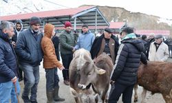 Oltu’daki hayvan pazarı yeniden açıldı