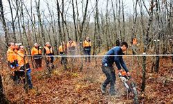 Orman köylüsü endüstriyel odundan 698 milyon TL kazandı