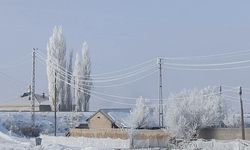 Özalp ve Saray buz kesti, ağaçlar kırağı tuttu