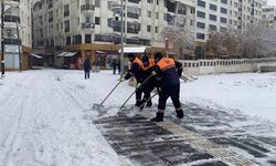 Yılbaşında beklenen kar ocak sonlarında yağdı