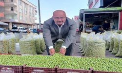 Toroslar Belediye Meclis üyesi Parlak tedavi altında