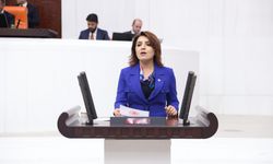 Gülcan Kış: "Denetim Eksiklikleri 76 Can Aldı"