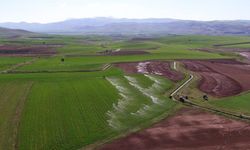 Kırsal Kalkınma Yatırımlarının Desteklenmesi Programı kapsamında 2025 yılı uygulama tebliği yayınlandı