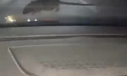 Elazığ’da seyir halindeki otomobilin ön camına ’fare’ kondu