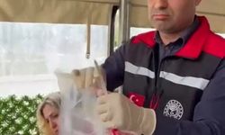 Adana’da fenomen dönerciden skandal karnaval itirafı: "Karnavalın her yeri Hindistan sokak lezzetleri"