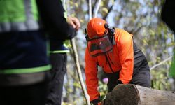 Akçakoca’da ormanda eğitim tatbikatı yapıldı