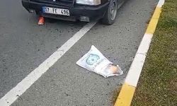 Balıkesir’de otomobilin çarptığı 92 yaşındaki kadın ağır yaralandı