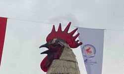 Denizli Horozu doludan nasibini aldı