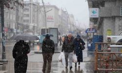 Erzurum’a baharla gelen kar