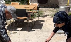 Hakkarili aile iki yıldır yılanlarla yaşıyor