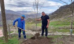 Kendisi yurt dışında ancak her yıl memleketine ağaç diktiriyor