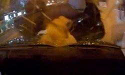 Otomobil motosiklete çarptı, 2 kişi yaralandı: Kaza anı kemarada