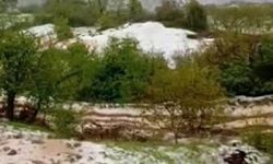 Yaz geldi derken, İzmir Ödemiş beyaza büründü