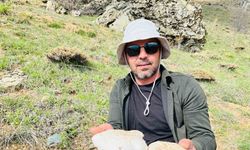 2 bin rakımın üzerinde yetişen mantarları topluyorlar