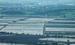2025 sezonunda çeltik ekimine sınırlama uygulanacak