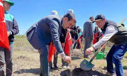 Arpaçay’da meyve fidanları toprakla buluştu