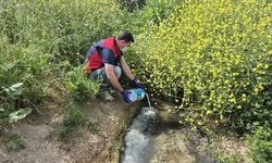 Çanakkale’de çeltik ekim alanlarında sivrisinek mücadelesi başladı