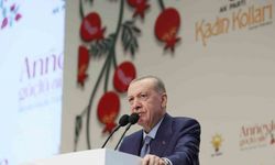 Cumhurbaşkanı Erdoğan: "Terörsüz Türkiye hedefine giden yolda sağlam adımlarla ilerliyoruz"