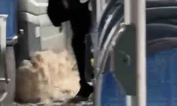 Diyarbakır’da sağanak yağış nedeniyle biriken su halk otobüsüne taştı