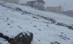 Doğu Karadeniz yaylalarında kış bitmiyor