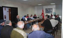 Düzce’de kahverengi kokarcayla mücadele sürüyor