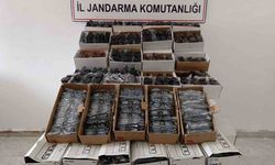 Gazipaşa’da araçta 3 bin kaçak gözlük ele geçirildi