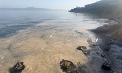 Gemlik’te müsilaj paniği