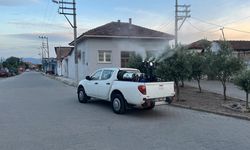 Germencik’te gece ilaçlamaları başladı