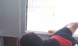 Havalandırma boşluğuna düşen kedi duvar kırılarak kurtarıldı