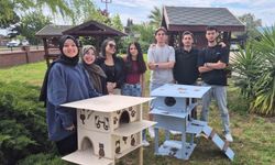 Havran MYO öğrencilerinden kedilere sıcacık yuva