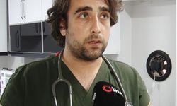 Hayvanları öldürdüğü gerekçesiyle tutuklanan zanlının, yavru köpeği tekmelediği anların görüntüsü ortaya çıktı