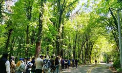 Hazırladıkları proje ile doğa için harekete geçtiler