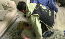 İstanbul’da sokak çetelerine ve onlara silah temin eden silah imalatçılarına operasyon